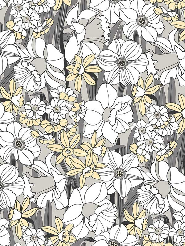 Juni wallpaper in onyx color - pattern number WDR1042.WT.0 - by Winfield Thybony in the Archival Wallpaper Collection collection