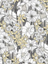 Juni wallpaper in onyx color - pattern number WDR1042.WT.0 - by Winfield Thybony in the Archival Wallpaper Collection collection