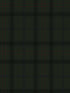 Tailor Plaid Prepasted fabric in greenery color - pattern number EP10304 - by Seabrook in the Etten Prepasted Wallcovering collection