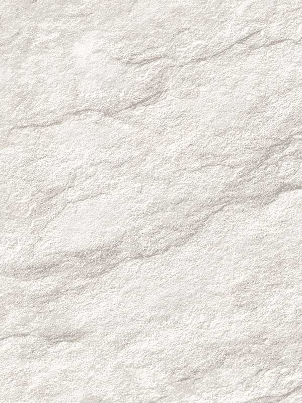 Stone Serenity wallpaper in grey color - pattern number VRBR00-857 - by Veer Decor in the Brut collection