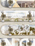 City Skate fabric in beige color - pattern number VRLO07-605 - by Veer Decor in the Loft collection