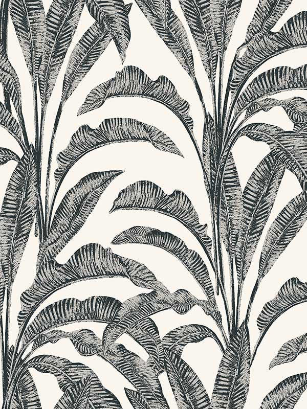 Luxe Tropical Palm wallpaper in cream color - pattern number VRNO19-916 - by Veer Decor in the Nomade collection