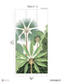 Bengal Pack 2 mural in green color - pattern number 8184-AD1-B - by Veer Decor in the Papermint Wall Murals collection