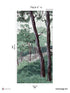 Bretagne Pack 4 mural in green color - pattern number 8184-AI1-D - by Veer Decor in the Papermint Wall Murals collection