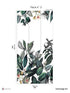 Cali Pack 3 mural in green color - pattern number 8184-AL1-C - by Veer Decor in the Papermint Wall Murals collection