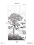 Wild Coast Pack 1 fabric in gray color - pattern number 8184-AR1-A - by Veer Decor in the Papermint Wall Murals collection