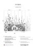 Flora Pack 1 2 fabric in black color - pattern number 8184-BDL-BC1 - by Veer Decor in the Papermint Wall Murals collection