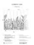 Garden Line Pack 1 2 mural in gray color - pattern number 8184-BDL-BG1 - by Veer Decor in the Papermint Wall Murals collection