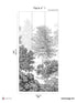 In The Woods Pack 1 mural in gray color - pattern number 8184-BJ1-A - by Veer Decor in the Papermint Wall Murals collection