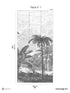 Palm Grove Pack 1 mural in gray color - pattern number 8184-CL1-A - by Veer Decor in the Papermint Wall Murals collection
