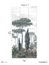 Pinery Pack 1 mural in green color - pattern number 8184-CN1-A - by Veer Decor in the Papermint Wall Murals collection