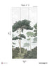 Pinewood Pack 3 mural in green color - pattern number 8184-CO1-C - by Veer Decor in the Papermint Wall Murals collection