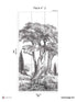 Porquerolles Pack 2 mural in gray color - pattern number 8184-CP1-B - by Veer Decor in the Papermint Wall Murals collection