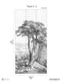 SaintTropez Pack 2 fabric in gray color - pattern number 8184-CV1-B - by Veer Decor in the Papermint Wall Murals collection