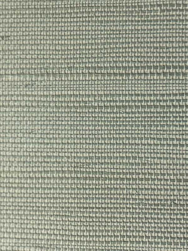 GWP SW5 fabric in sea salt color - pattern number GWP SW5-1 SEA SALT - by Europatex in the Grasscloth by Europatex collection