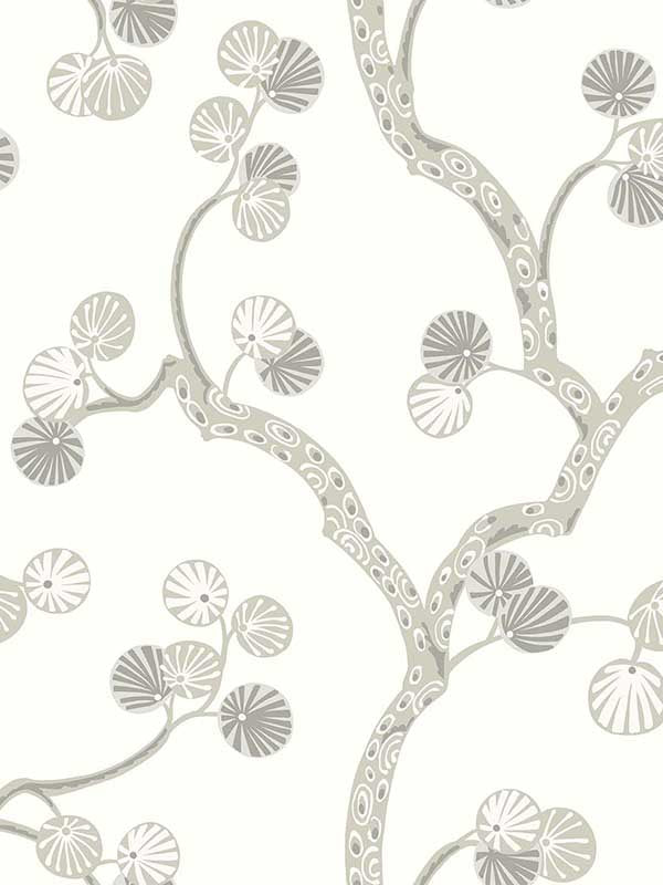 Allegra wallpaper in cotton color - pattern number WH41008 - by Seabrook in the Piano collection