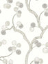 Allegra wallpaper in cotton color - pattern number WH41008 - by Seabrook in the Piano collection