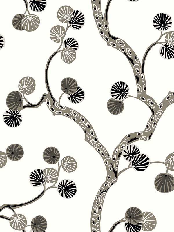 Allegra wallpaper in rhino color - pattern number WH41018 - by Seabrook in the Piano collection