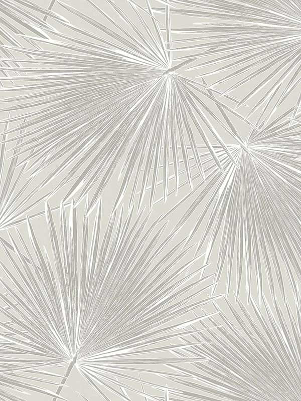 Elvis wallpaper in boulder color - pattern number WH41505 - by Seabrook in the Piano collection