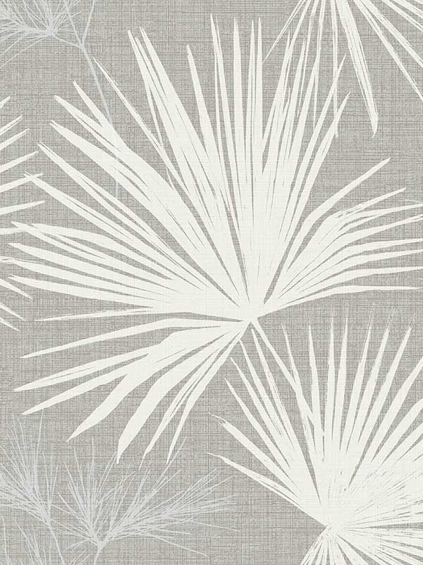Hatteras Palms wallpaper in grey color - pattern number 4172-27488 - by A Street Prints in the Sea Salt collection