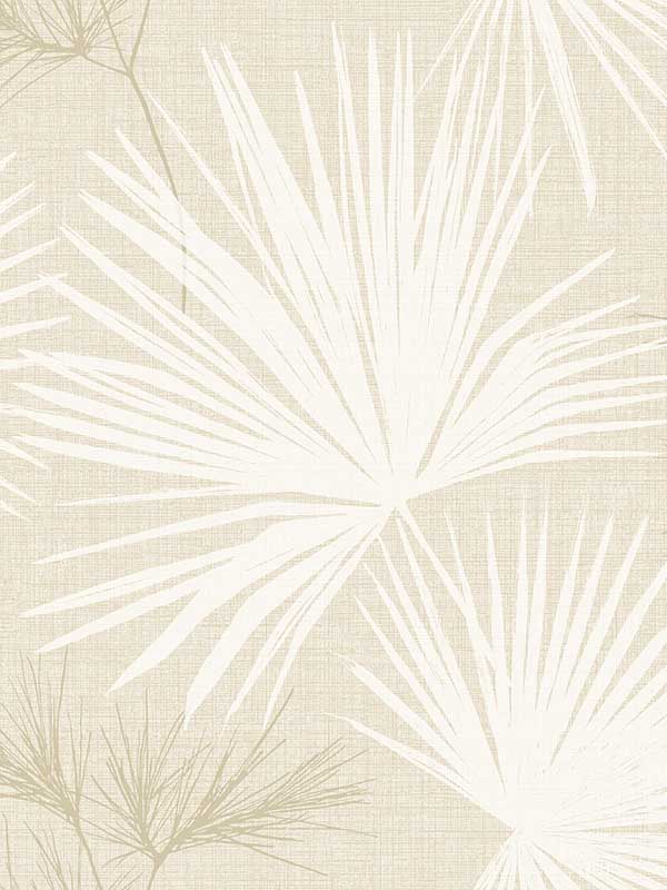 Hatteras Palms wallpaper in champagne color - pattern number 4172-27489 - by A Street Prints in the Sea Salt collection