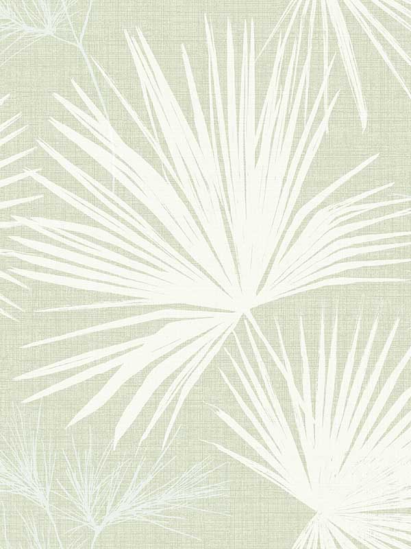 Hatteras Palms wallpaper in light green color - pattern number 4172-27490 - by A Street Prints in the Sea Salt collection