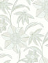 Star Flower Floral Trail wallpaper in light green color - pattern number 4172-27513 - by A Street Prints in the Sea Salt collection