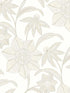 Star Flower Floral Trail wallpaper in beige color - pattern number 4172-27515 - by A Street Prints in the Sea Salt collection