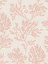 Tortuga Coral Weave wallpaper in pink color - pattern number 4172-82000 - by A Street Prints in the Sea Salt collection