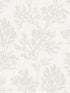 Tortuga Coral Weave wallpaper in dove color - pattern number 4172-82001 - by A Street Prints in the Sea Salt collection