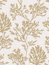 Tortuga Coral Weave wallpaper in gold color - pattern number 4172-82002 - by A Street Prints in the Sea Salt collection