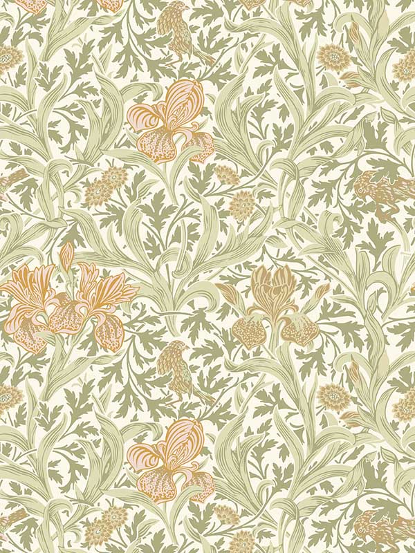 Iris Wild Gardens wallpaper in light green color - pattern number 4171-82049 - by A Street Prints in the Hidden Treasures Volume 2 collection