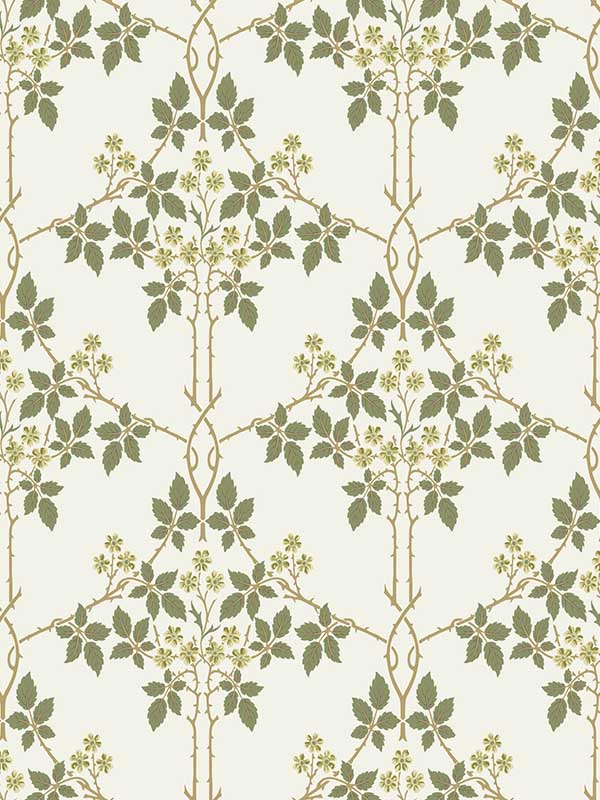 Blackberry Vine Trellis wallpaper in chartreuse color - pattern number 4171-82053 - by A Street Prints in the Hidden Treasures Volume 2 collection