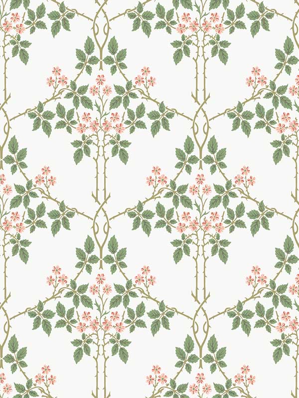 Blackberry Vine Trellis wallpaper in pink color - pattern number 4171-82054 - by A Street Prints in the Hidden Treasures Volume 2 collection