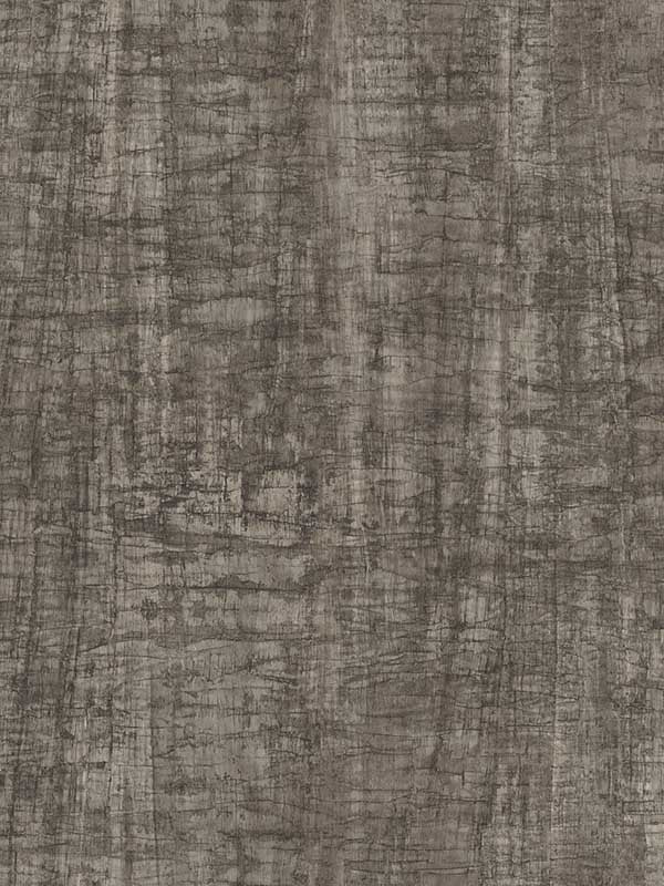 Monteverde wallpaper in black color - pattern number GN2552 - by York in the Woodnote collection
