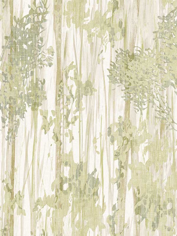 Aspen Grove wallpaper in green color - pattern number GN2601 - by York in the Woodnote collection