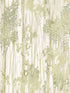 Aspen Grove wallpaper in green color - pattern number GN2601 - by York in the Woodnote collection