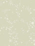 Stjarnhimmel wallpaper in light green color - pattern number MB29021 - by York in the Daydream collection