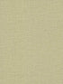 Loom fabric in green color - pattern number SI26148 - by York in the Artisan Studio collection