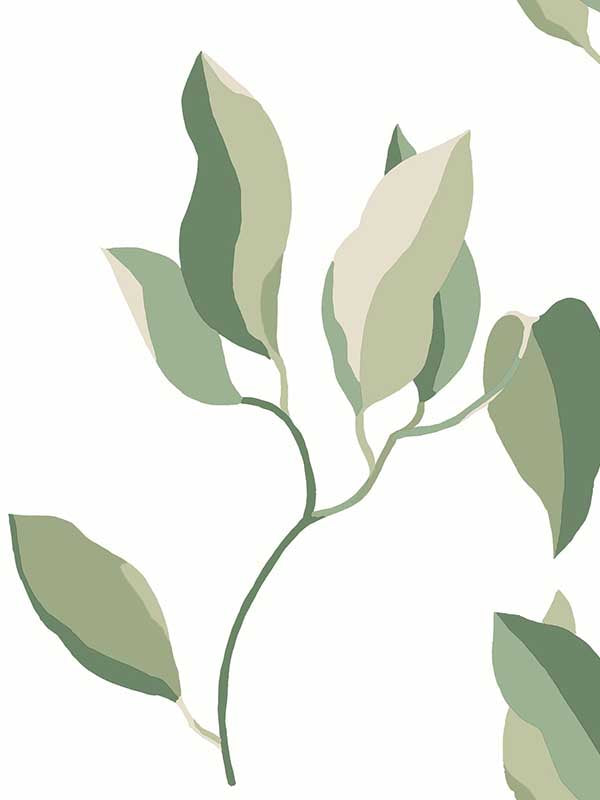 Brushwork Branches wallpaper in leaf green color - pattern number ZM2872 - by York in the Artisan Studio collection