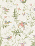 Hummingbirds wallpaper in soft multi colour color - pattern number 100/14067.CS.0 - by Cole and Son in the Selection of Hummingbirds collection