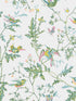 Hummingbirds fabric in green pink color - pattern number 112/4015.CS.0 - by Cole and Son in the Selection of Hummingbirds collection