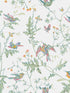 Hummingbirds fabric in pastel color - pattern number 112/4016.CS.0 - by Cole and Son in the Selection of Hummingbirds collection