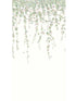 Hummingbirds Flora fabric in blush color - pattern number 124/2008.CS.0 - by Cole and Son in the Selection of Hummingbirds collection