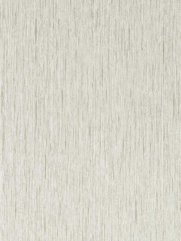 Asper wallpaper in pebble color - pattern number W0205/03.CAC.0 - by Clarke and Clarke in the Expressions Performance Wallcoverings collection