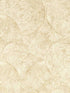 Silvan wallpaper in sahara color - pattern number W0209/05.CAC.0 - by Clarke and Clarke in the Expressions Performance Wallcoverings collection