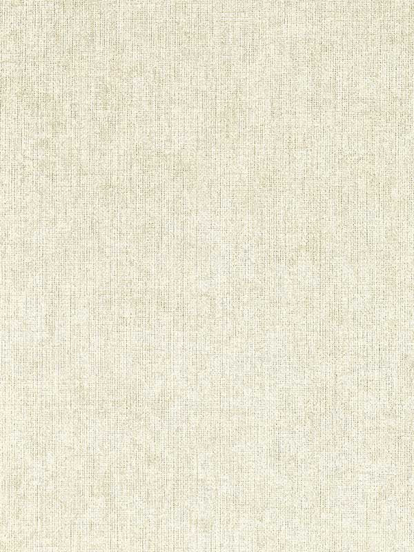 Texo wallpaper in alabaster color - pattern number W0212/01.CAC.0 - by Clarke and Clarke in the Expressions Performance Wallcoverings collection
