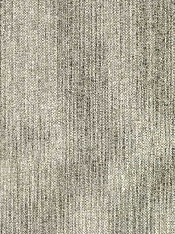Texo wallpaper in pebble color - pattern number W0212/02.CAC.0 - by Clarke and Clarke in the Expressions Performance Wallcoverings collection