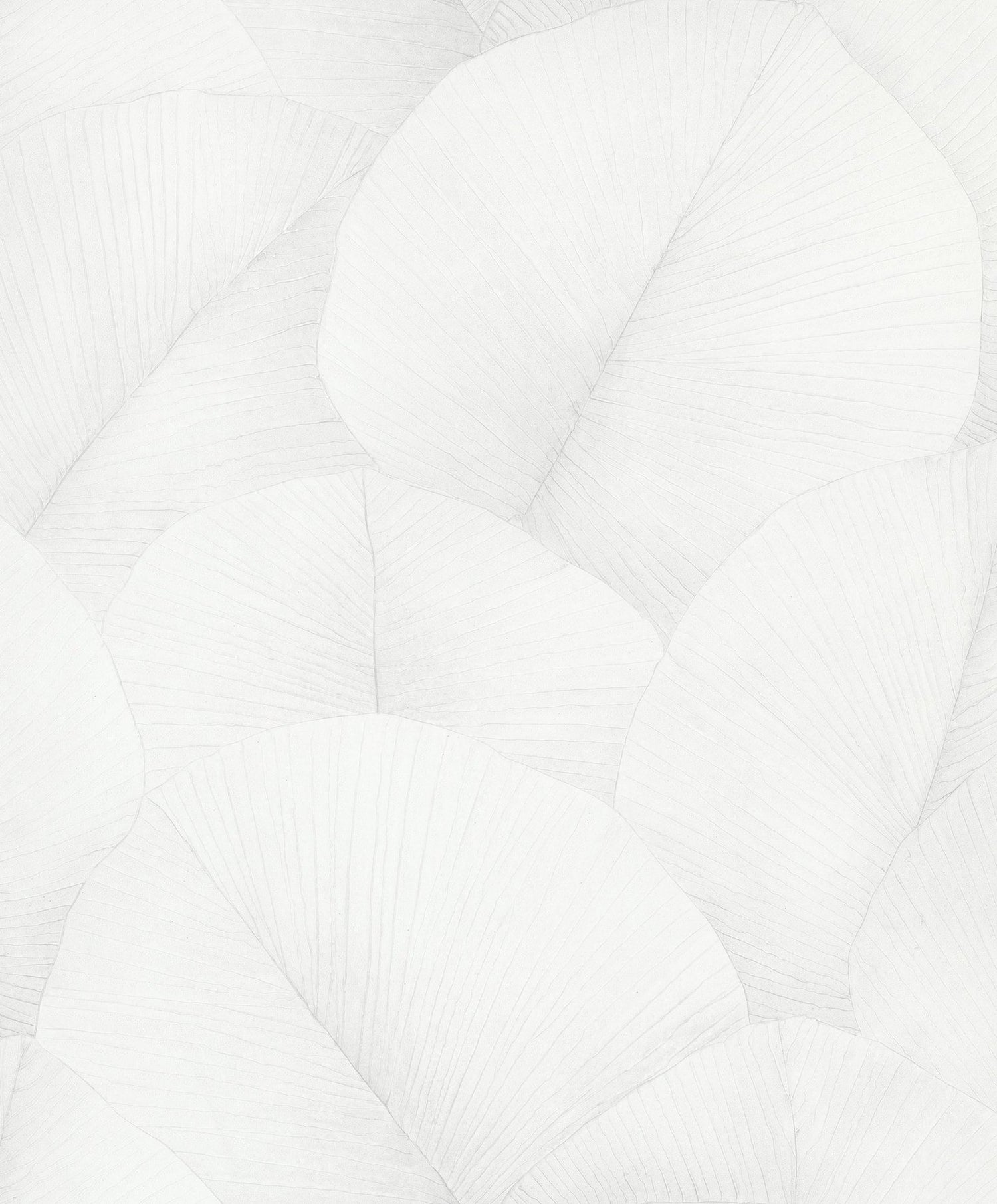 Palm Leaf wallpaper in white color - pattern number 34507 - by Galerie in the Kumano collection