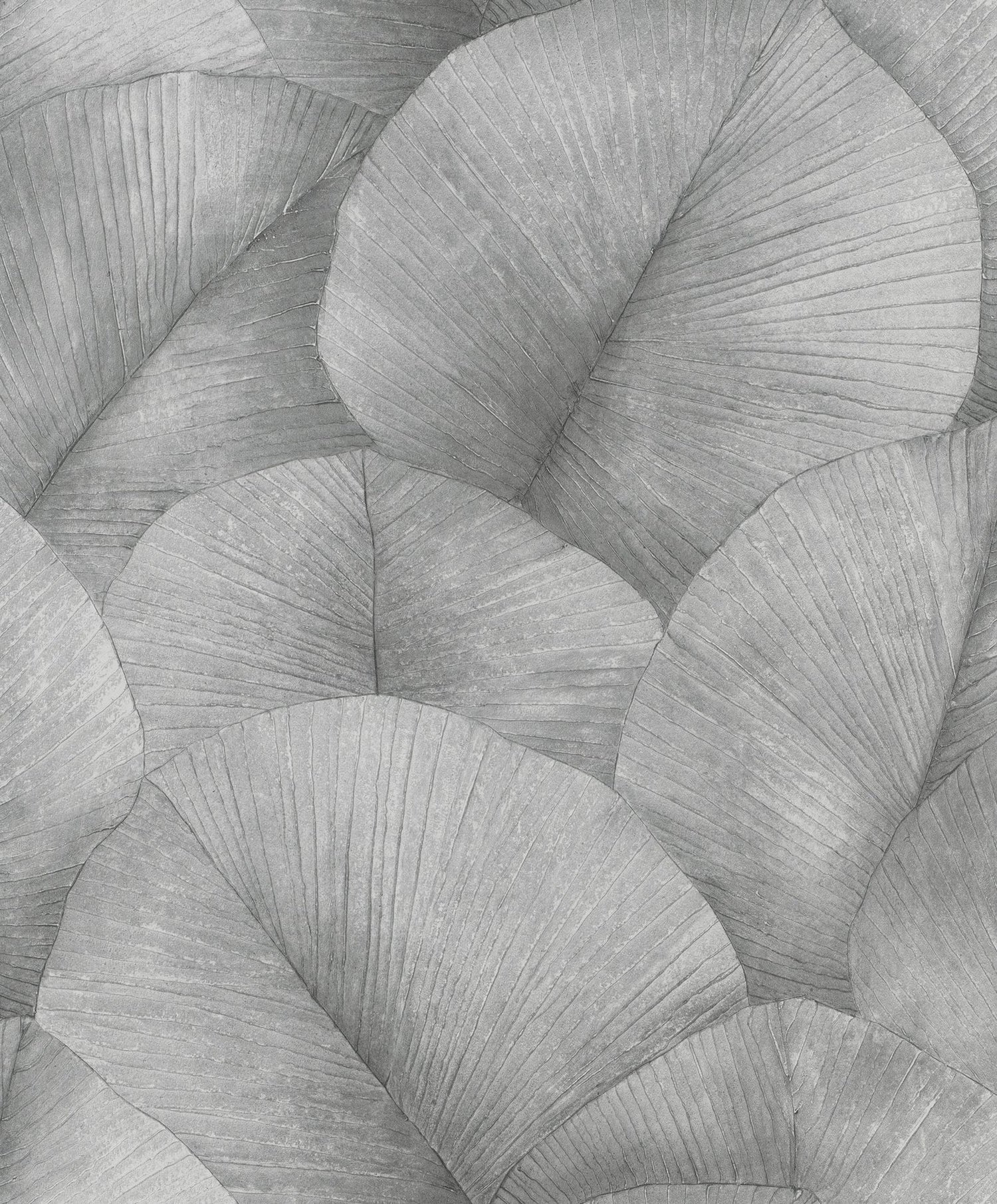 Palm Leaf wallpaper in silver grey color - pattern number 34508 - by Galerie in the Kumano collection